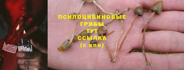 эйфоретик Абдулино