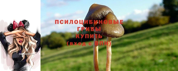 эйфоретик Абдулино