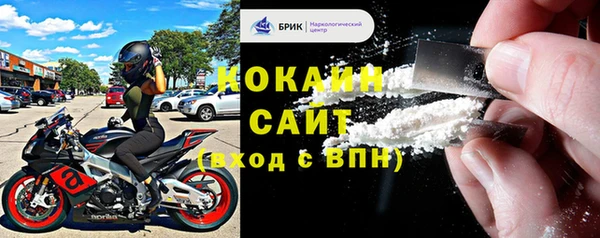 дживик Абаза