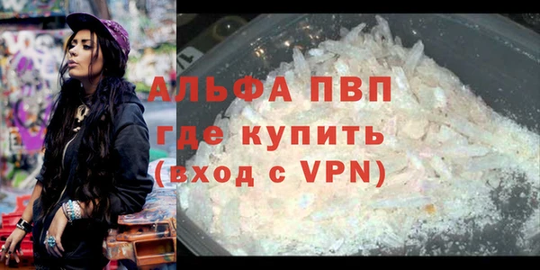 дживик Абаза